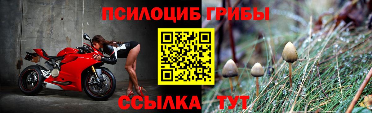 Псилоцибиновые грибы MAGIC MUSHROOMS  купить  цена  Сорочинск  Вход с VPN 
