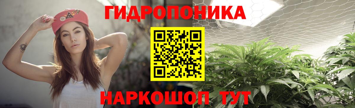 Бошки Шишки White Widow  МАРИХУАНА индика  Бошки марихуана сатива  Вход с VPN  Сорочинск  Бошки Шишки Bruce Banner 
